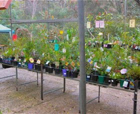 Glenbrook Native Plant Reserve And Nursery - Accommodation Gladstone 3