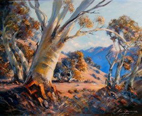 Snowy Mountains NSW Accommodation Gladstone