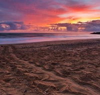 Mon Repos Beach - Accommodation Gladstone