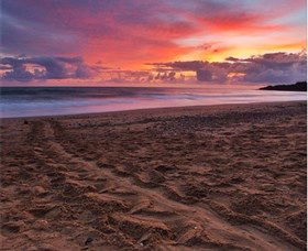 Mon Repos Beach - Accommodation Gladstone 0