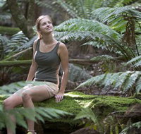 Barrington Tops National Park - Honeysuckle Forest Track - Accommodation Gladstone