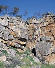 Badgingarra Nature Trail - Accommodation Gladstone 0