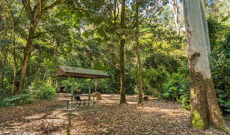 Upper Tooloom ACT Accommodation Gladstone