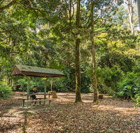 Tooloom National Park - Accommodation Gladstone