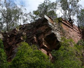 Mitchell River Walking Track - Accommodation Gladstone 2