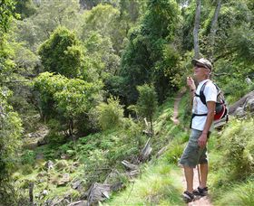 Mitchell River Walking Track - Accommodation Gladstone 1