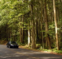 Greater Blue Mountains drive - Accommodation Gladstone