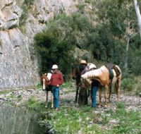 Yarramba Horse Riding - Accommodation Gladstone