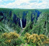 Wollomombi Falls - Accommodation Gladstone