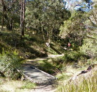 Wollomombi walking track - Accommodation Gladstone