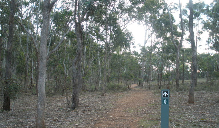  Accommodation Gladstone
