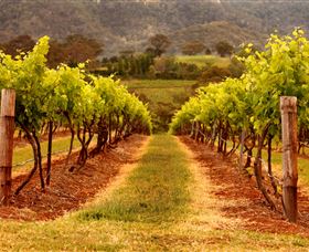 Hunter Valley Wine School - Accommodation Gladstone 1
