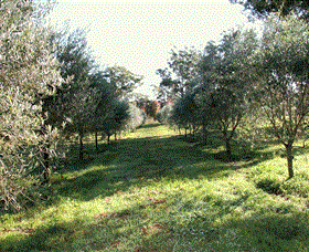 Langdale Farm - Accommodation Gladstone