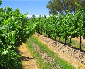 Misty Glen Wines And Cottage - Accommodation Gladstone 1