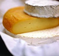 Hunter Valley Cheese Company - Accommodation Gladstone