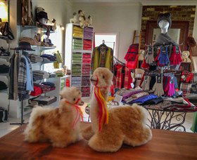 Australian Alpaca Barn - Hunter Valley Gardens - Accommodation Gladstone 2