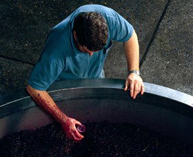 Calais Estate Wines - Accommodation Gladstone 2
