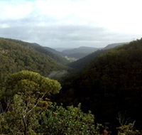 Nattai Gorge Lookout - Accommodation Gladstone