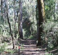 Box Vale Mine Walking Track and Lookout - Accommodation Gladstone