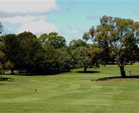 Cooma Golf Club - Accommodation Gladstone 1