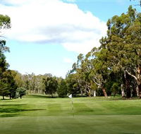 Cooma Golf Club - Accommodation Gladstone