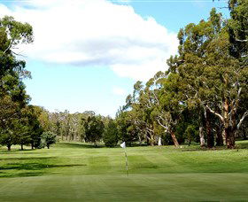 Cooma Golf Club - Accommodation Gladstone 0