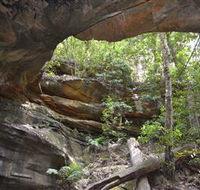 Cave Creek Walking Track - Accommodation Gladstone