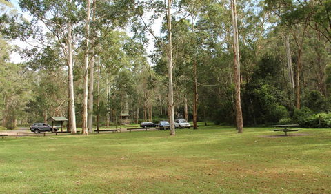 Mill Creek Picnic Area - Accommodation Gladstone 0