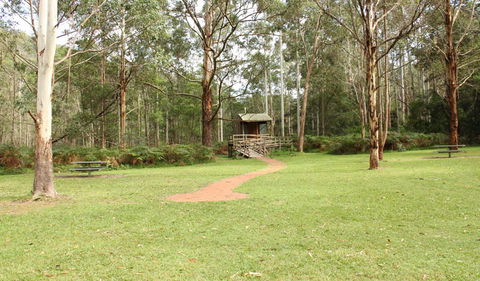 Mill Creek Picnic Area - Accommodation Gladstone 2