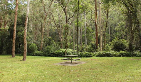 Mill Creek Picnic Area - Accommodation Gladstone 1