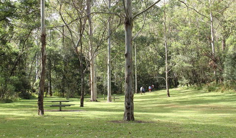 Mill Creek Picnic Area - Accommodation Gladstone 3
