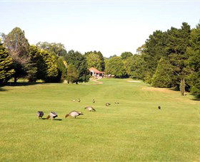 Moss Vale Golf Club - Accommodation Gladstone 2