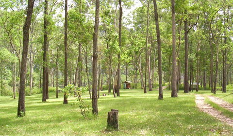 Nymboida National Park - Accommodation Gladstone 2