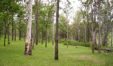 Nymboida National Park - Accommodation Gladstone 3