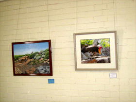 Maryborough Art Society Inc. - Accommodation Gladstone 2
