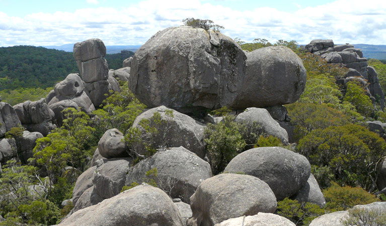 Fernbrook NSW Accommodation Gladstone