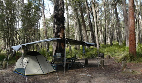 Cathedral Rock National Park - Accommodation Gladstone 1