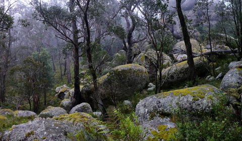 Cathedral Rock National Park - Accommodation Gladstone 2