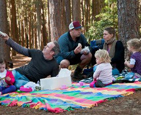 State Forests Of The Watagan Mountains - Accommodation Gladstone 0