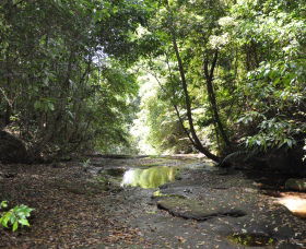 State Forests Of The Watagan Mountains - Accommodation Gladstone 1
