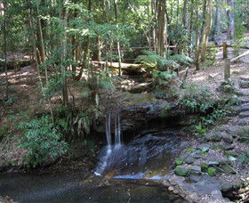 State Forests Of The Watagan Mountains - Accommodation Gladstone 3