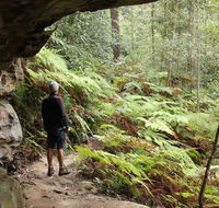 Dharug National Park - Accommodation Gladstone