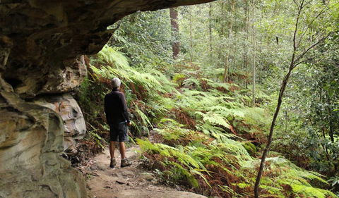 Dharug National Park - Accommodation Gladstone 0
