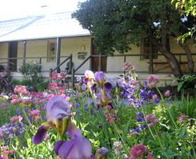Raglan Gallery And Cultural Centre - Accommodation Gladstone 0
