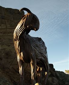 Nanny Goat Hill Lookout - Accommodation Gladstone 0