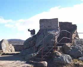 Nanny Goat Hill Lookout - Accommodation Gladstone 3