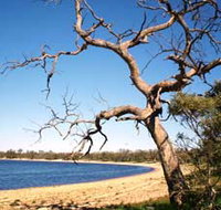 Lake Indoon - Accommodation Gladstone