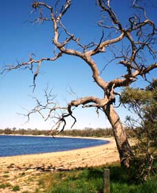 Lake Indoon - Accommodation Gladstone 0