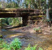 Myrtle Scrub scenic drive - Accommodation Gladstone
