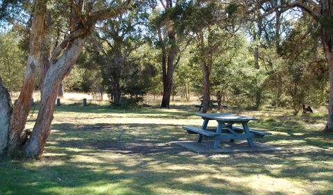 Werakata National Park - Accommodation Gladstone 1
